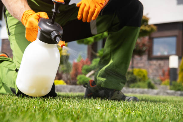 Pest Control Cost in Palmview, TX