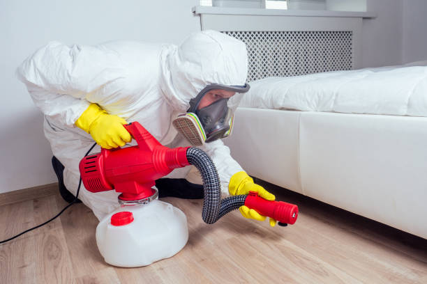 Best Cockroach Control Services  in Palmview, TX