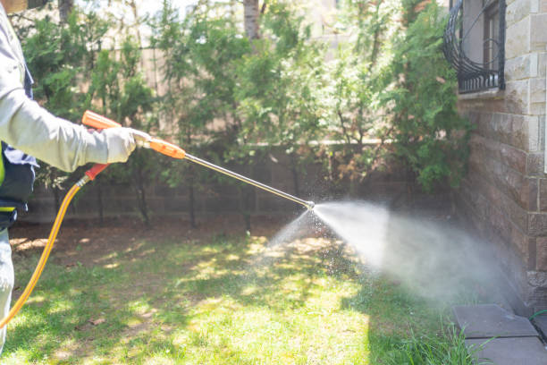 Wasp Removal Services in Palmview, TX