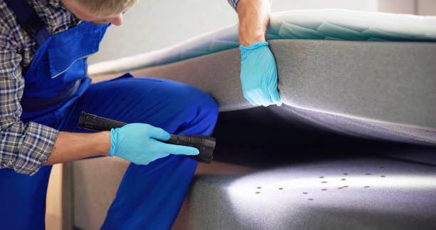 Best Affordable Pest Control Services  in Palmview, TX